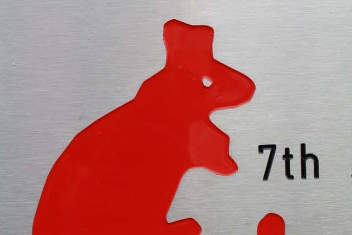 close up foto van een rode haas en zwarte tekst gefreesd en ingelakt