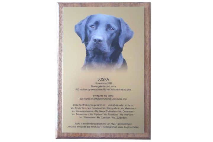 aluminium onderdruk plaquette van blindengeleidehond Joska