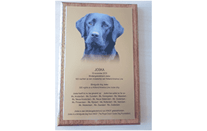een gefreesd en ingelakte plaquette voorzien van een foto van een hond en tekst