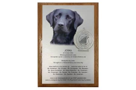 plaquette - Aluminium onderdruk - op-hout 