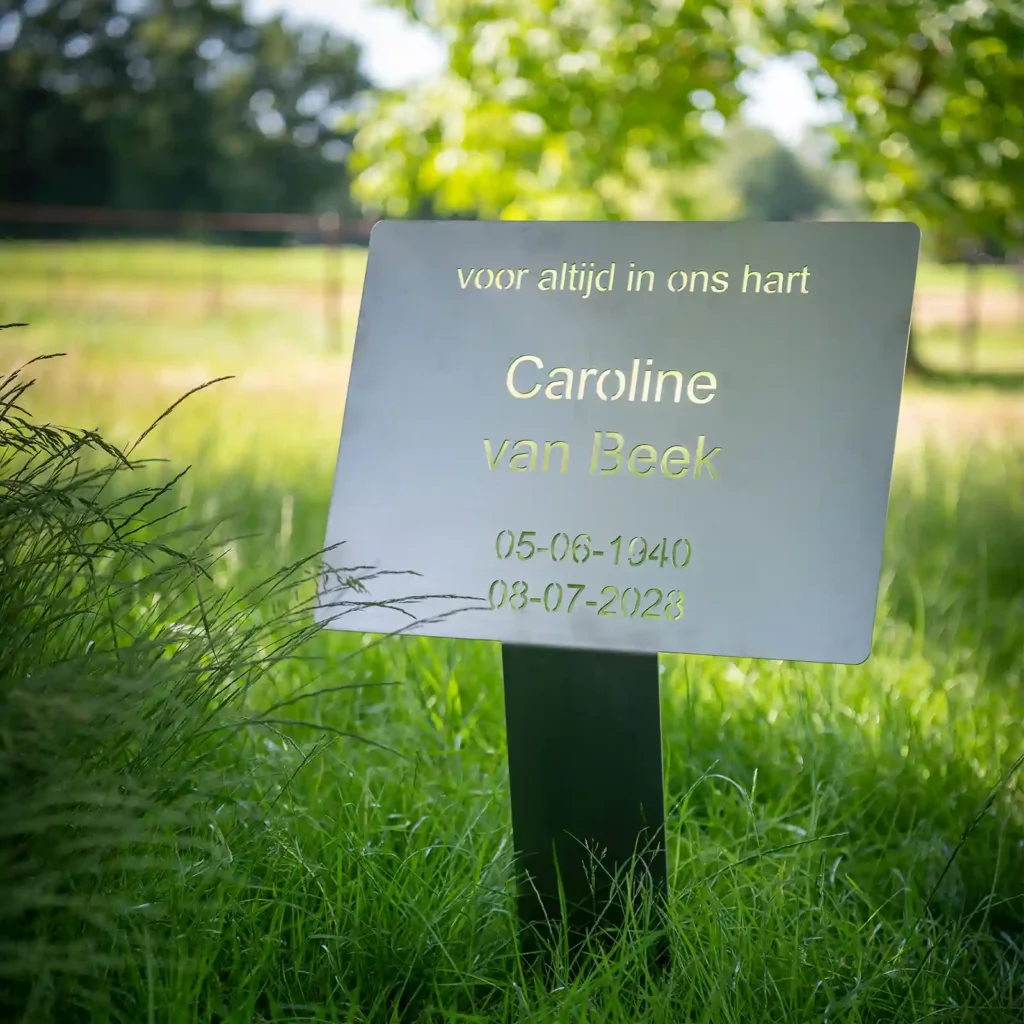 RVS Grafmonument standvastig met door en doorgesneden letters overzicht foto