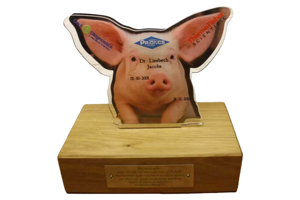 Een award van plexiglas in de vorm van een varken staand op een houten sokkel